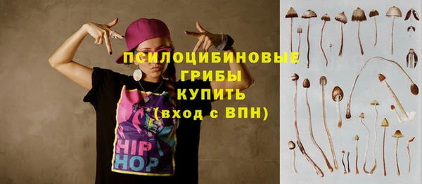 PSILOCYBIN Баксан