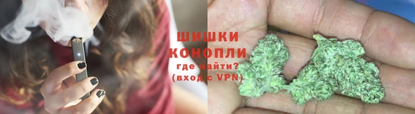 PSILOCYBIN Баксан