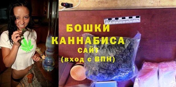 PSILOCYBIN Рославль