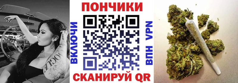 Бошки марихуана ГИДРОПОН  Нерюнгри 